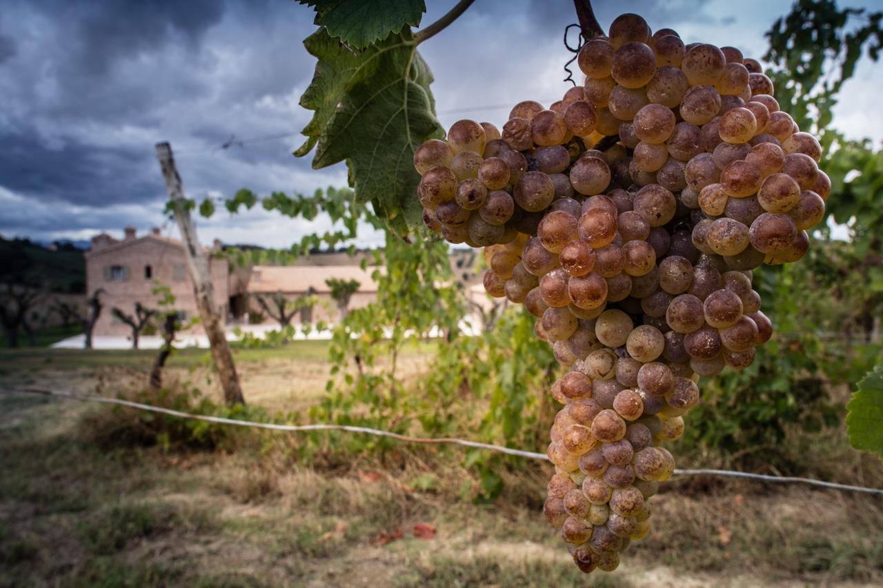 Filodivino Wine Resort & Spa 圣马赛罗 外观 照片