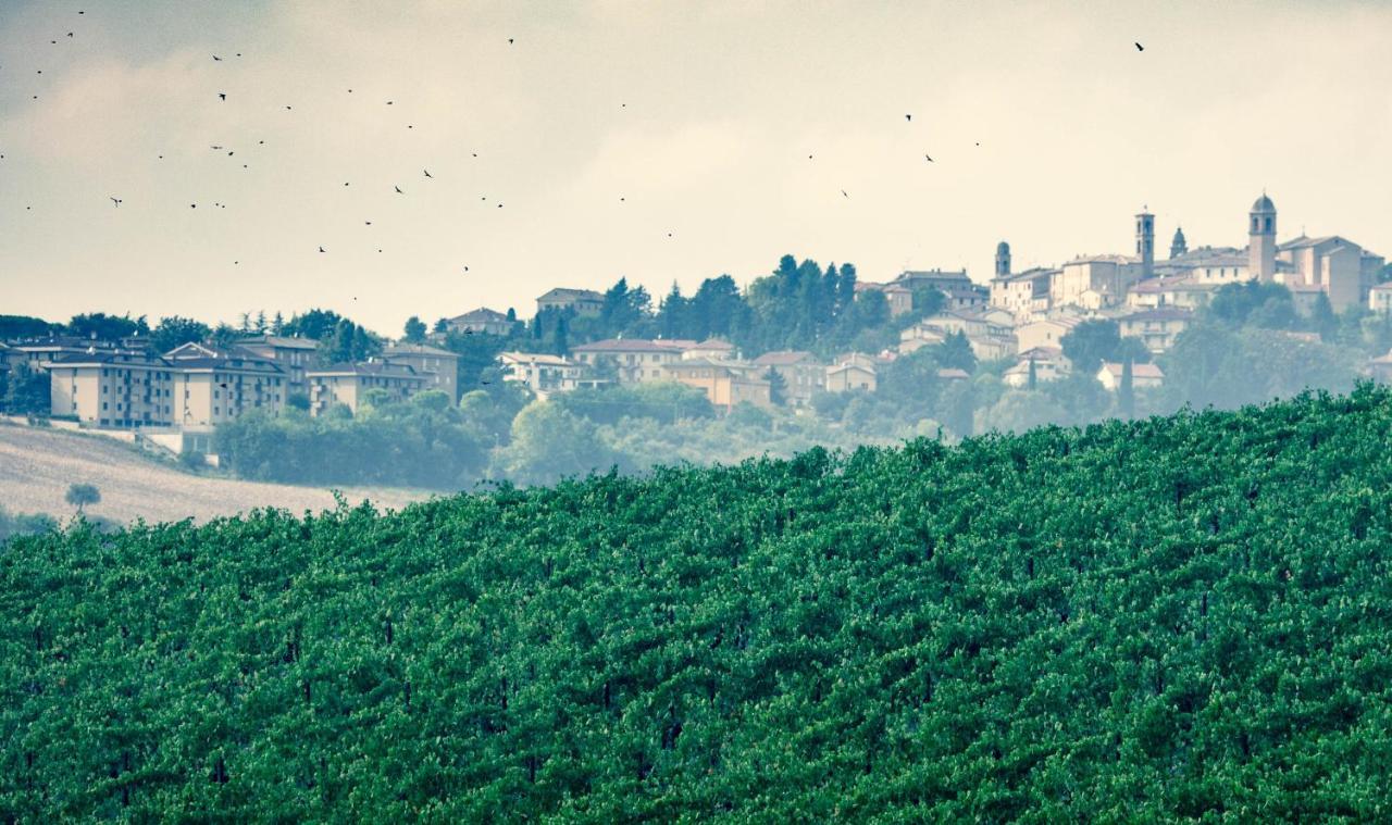 Filodivino Wine Resort & Spa 圣马赛罗 外观 照片